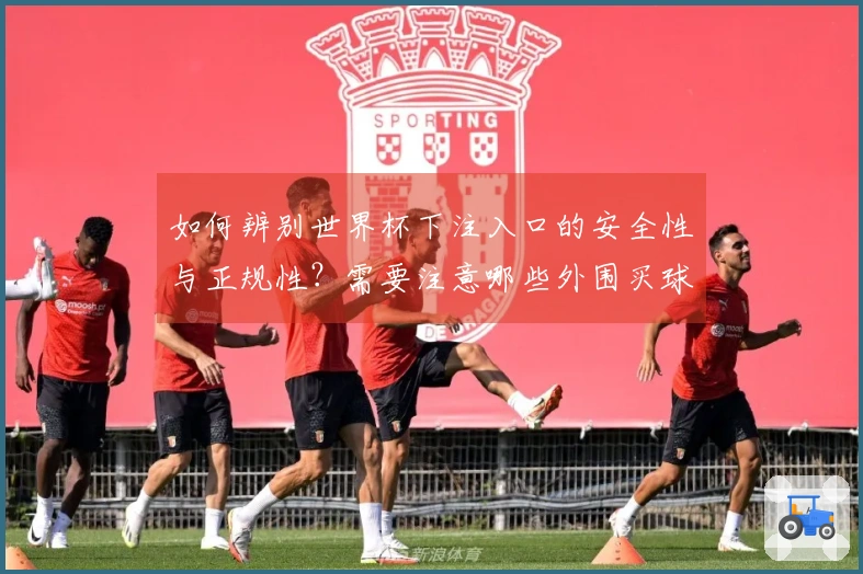 如何辨别世界杯下注入口的安全性与正规性？需要注意哪些外围买球风险？