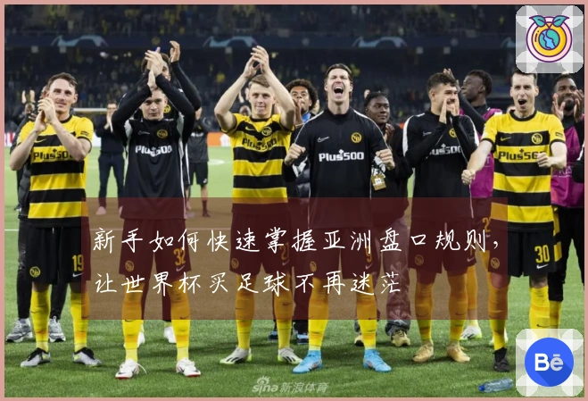 新手如何快速掌握亚洲盘口规则，让世界杯买足球不再迷茫