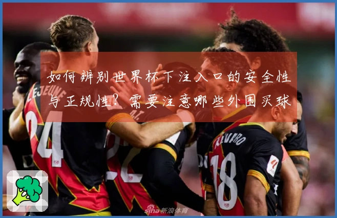 如何辨别世界杯下注入口的安全性与正规性？需要注意哪些外围买球风险？