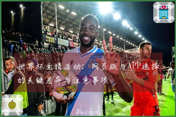 世界杯竞猜活动：网页版与APP选择的关键差异与注意事项