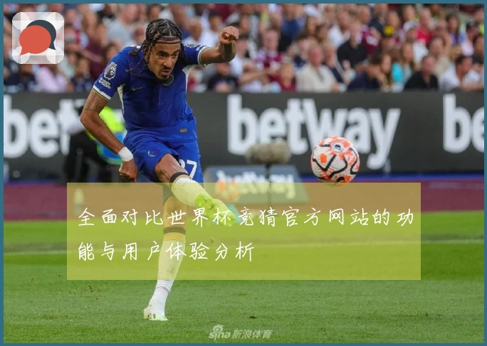 全面对比世界杯竞猜官方网站的功能与用户体验分析