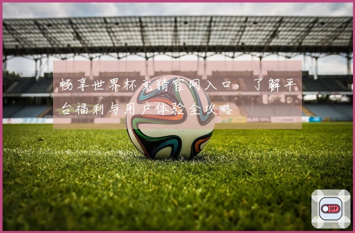 畅享世界杯竞猜官网入口，了解平台福利与用户体验全攻略