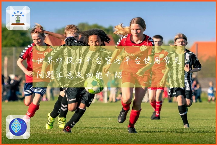 世界杯投注平台官方平台使用常见问题汇总及功能介绍