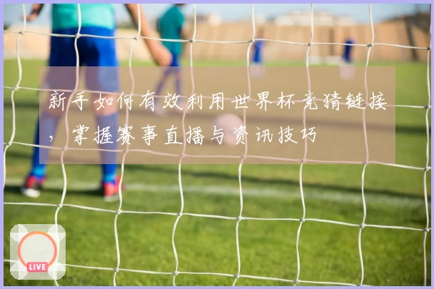 新手如何有效利用世界杯竞猜链接,掌握赛事直播与资讯技巧